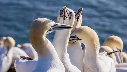 17173新游期待榜：网易《无限大》最新实机公开 腾讯《怪物猎人：旅人》亮相TGS